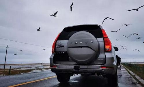 国产车爬坡试验视频大全,视频大全解析