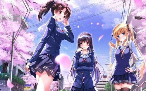 国产动漫女主婚礼视频,国产动漫女主的浪漫盛典