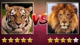 解说国产老虎视频合集下载,视频合集下载一览