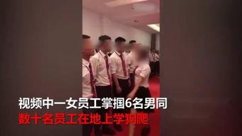 bdsm国产调教视频,BDSM视频中的情感与权力交融