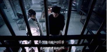 国产国产人视频在线观看,人视频在线观看，尽享视听盛宴