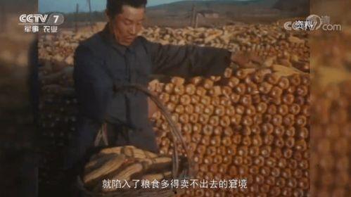 真实国产乱子伦牲交视频