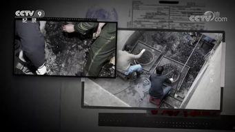 国产重口味免费视频,揭秘刺激感官的视觉盛宴